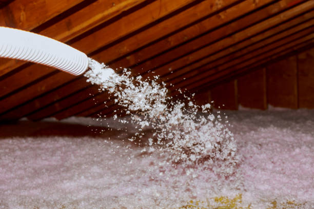 Best Commercial Insulation in North Pearsall, TX