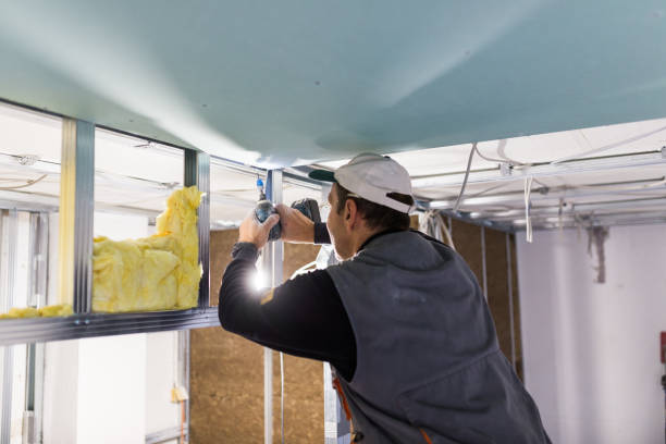 Best Spray Foam Insulation in North Pearsall, TX
