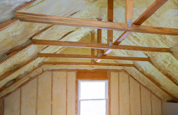 Best Specialized Insulation Services in North Pearsall, TX