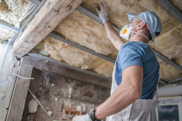 Best Geographic-Specific Insulation Services in North Pearsall, TX