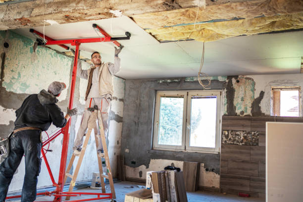 Best Cellulose Insulation in North Pearsall, TX