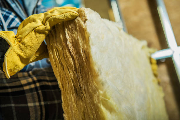 Best Blown-in Insulation in North Pearsall, TX