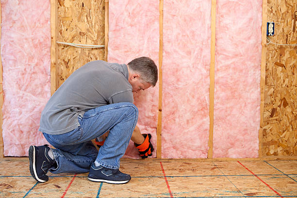 Best Spray Foam Insulation in North Pearsall, TX
